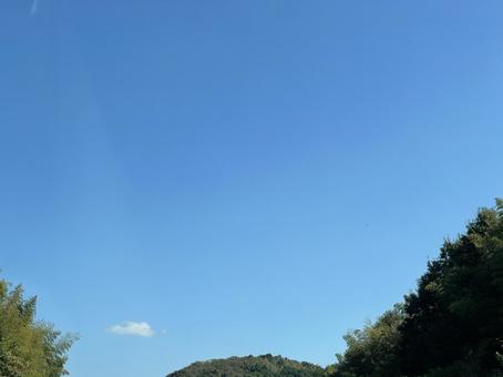 青い空と緑の木 青い空と緑の木の写真