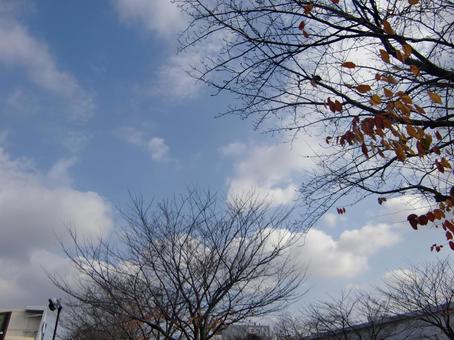 November Clouds-49, JPG