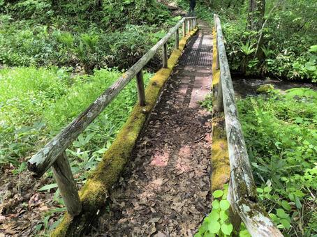 小川の向こうへ ハイキング,散策,山地の写真素材