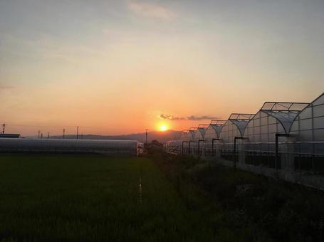 夕焼け 夕焼けの写真