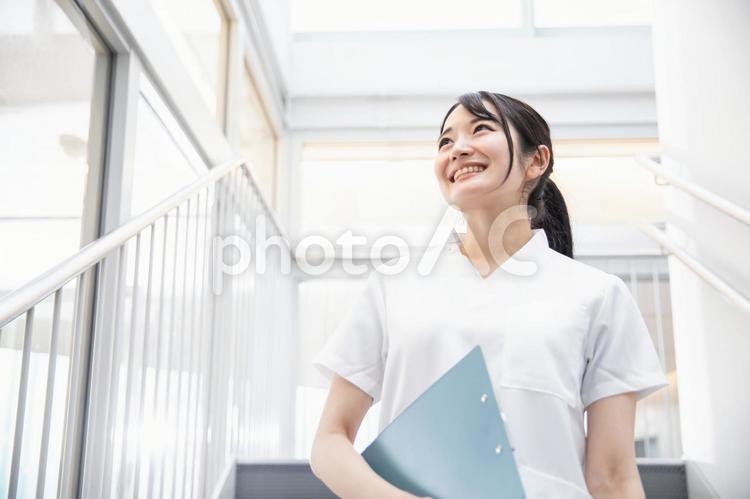 病院で働く医療スタッフ（看護師） 看護師,ナース,歯科衛生士の写真素材