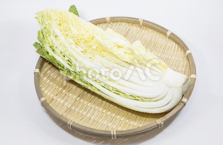 御嶽はくさい 御嶽はくさい,白菜,野菜の写真素材