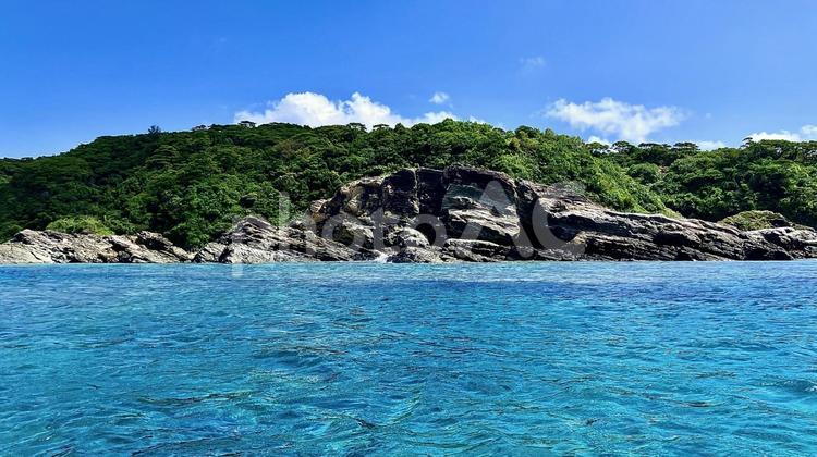 慶良間諸島の海から見た阿嘉島のアグの浜 アグ,海,阿嘉の写真素材