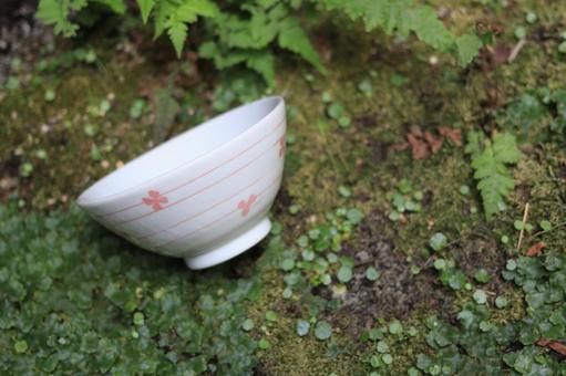 庭に捨てられたお茶碗 庭に捨てられたお茶碗の写真
