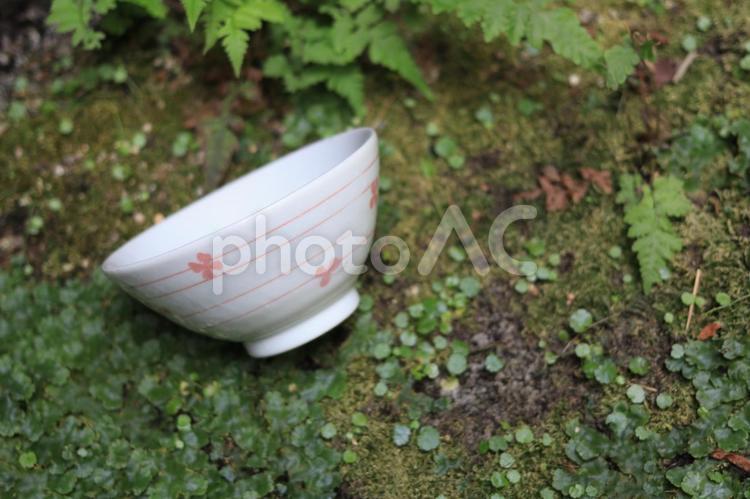 庭に捨てられたお茶碗 家庭,お茶碗,寂しいの写真素材