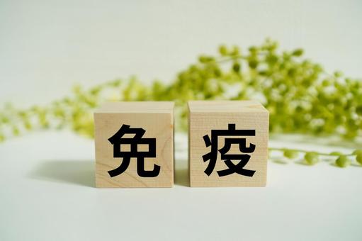 木製ブロックに『免疫』の文字 木製ブロックに『免疫』の文字 免疫,健康,体調管理の写真素材