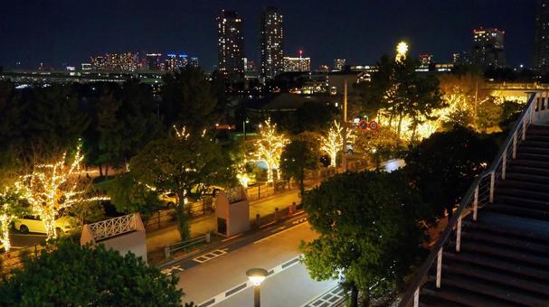 お台場のXmasイルミネーション・東京都 冬,クリスマス,イルミネーションの写真素材