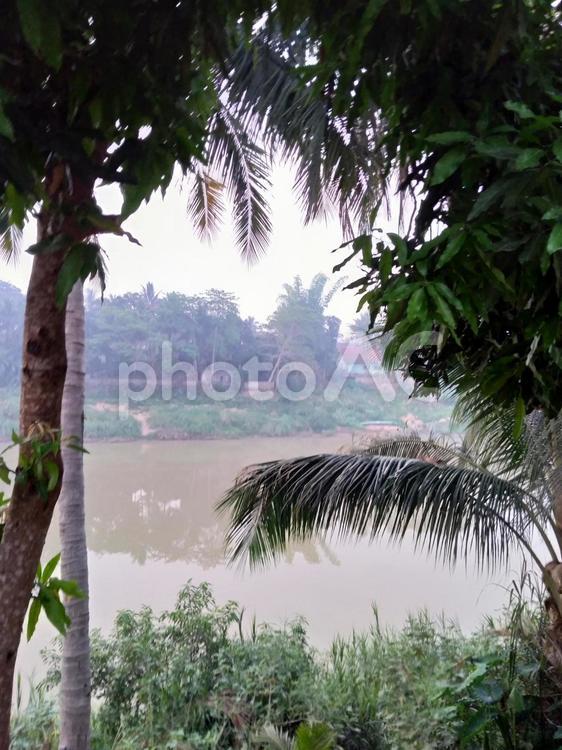 ラオス 朝のメコン川 ラオス 朝のメコン川 メコン川,ラオス,早朝の写真素材