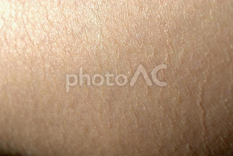 ズームアップした肌 皮膚,肌,アップの写真素材