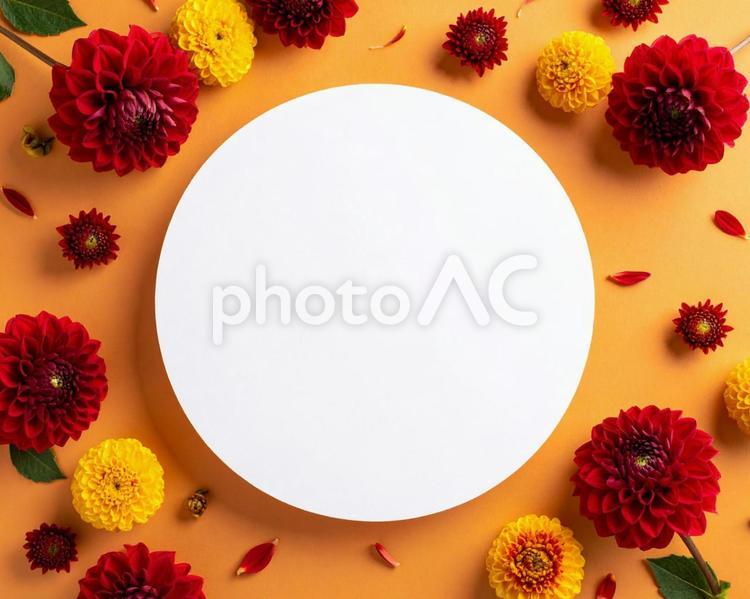 秋の花 フレーム,背景,秋の写真素材