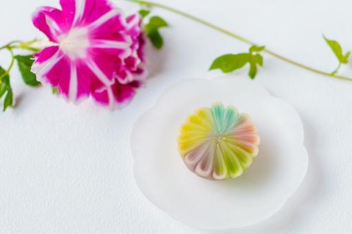 季節の和菓子「花火」 季節の和菓子「花火」 和菓子,生花,花火の写真素材
