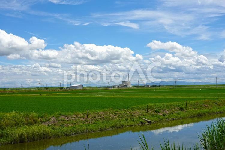 夏の田園風景2（佐賀県川副地区） 田園風景,田園,田んぼの写真素材