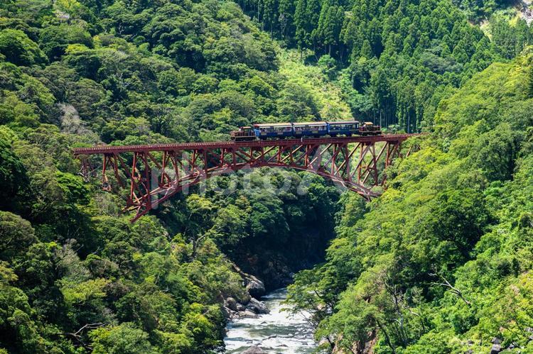 南阿蘇渓谷とトロッコ列車 トロッコ列車,第一白川橋梁,阿蘇の写真素材