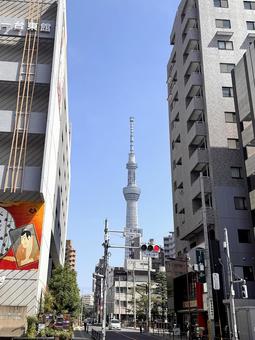 スカイツリー遠景 スカイツリー遠景の写真
