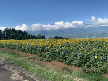 山梨 山梨 yamanashi,hokuto,山梨の写真素材