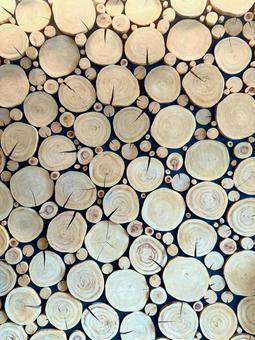 樹の年輪のインテリア壁 樹,樹木,年輪の写真素材