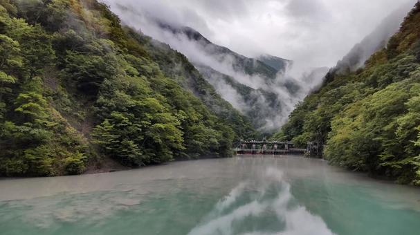 霧の架かる森 霧の架かる森の写真