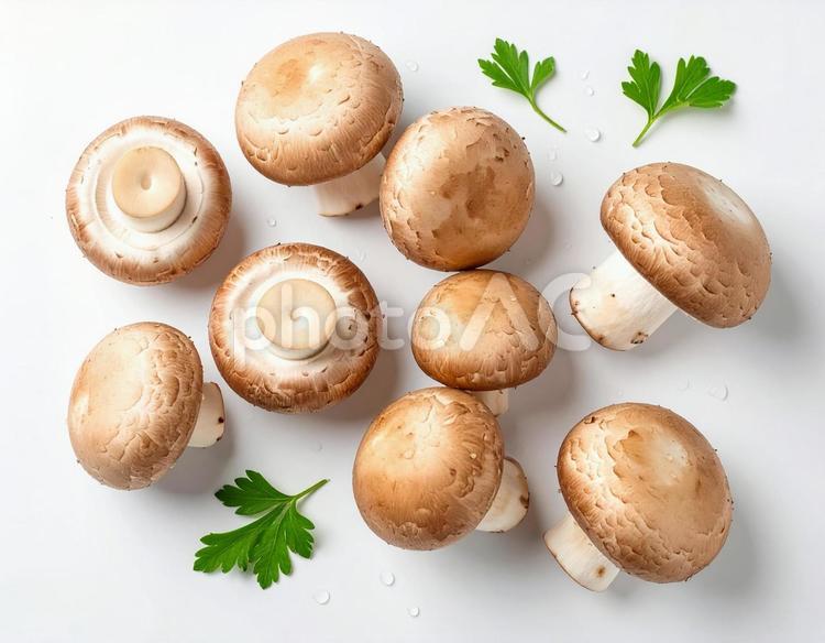 秋の味覚　マッシュルーム　白背景 マッシュルーム,きのこ,キノコの写真素材