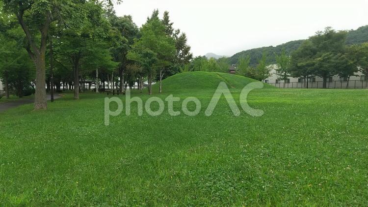 雨上がりの公園 雨上がり,公園,グリーンの写真素材