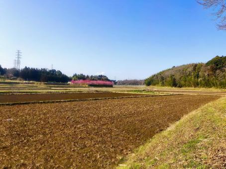田舎 田舎の写真