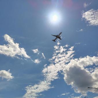 夏空を降下してくる飛行機 夏空を降下してくる飛行機の写真
