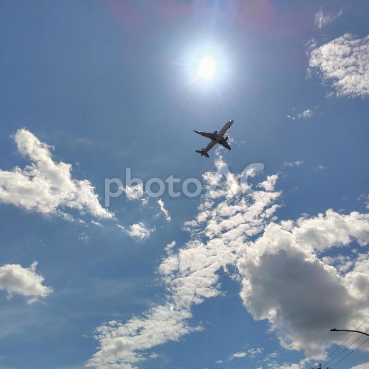 夏空を降下してくる飛行機 夏,夏空,飛行機の写真素材