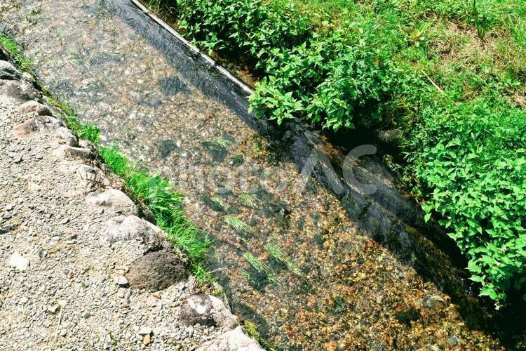 水路 水路,湧水,自然の写真素材