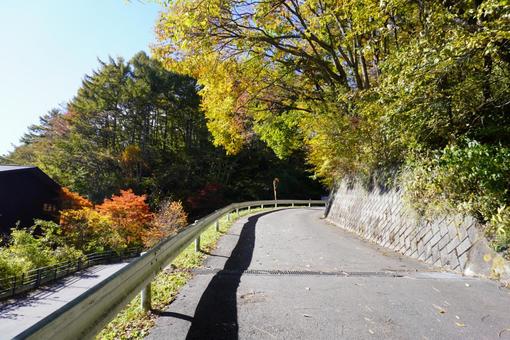 秋の道 紅葉,秋,軽井沢の写真素材