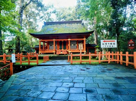 宇佐神宮 宇佐神宮,境内,参道の写真素材