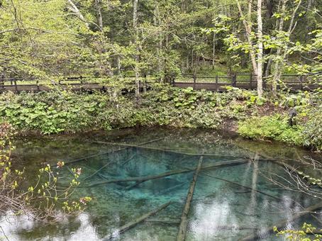 神の小池 神の小池の写真