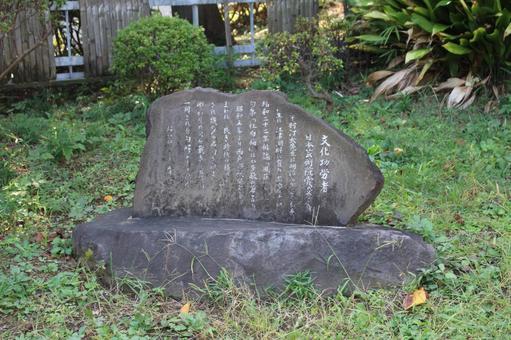 野毛山 野毛山 動物園,公園,自然の写真素材