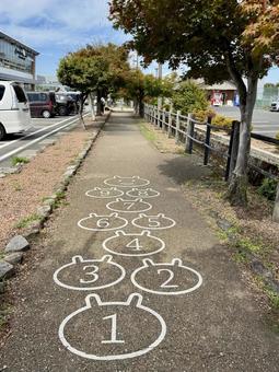 武生中央公園 歩道のけんけんぱ 武生中央公園 歩道のけんけんぱ けんけんぱ,遊び心,子どもの遊びの写真素材