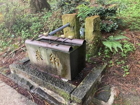 上色見熊野座神社2 上色見熊野座神社2 上色見熊野座神社,熊本県,高森町の写真素材