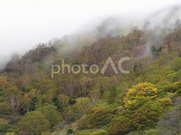 長野　松本　美ヶ原 美ヶ原,観光地,日本百名山の写真素材