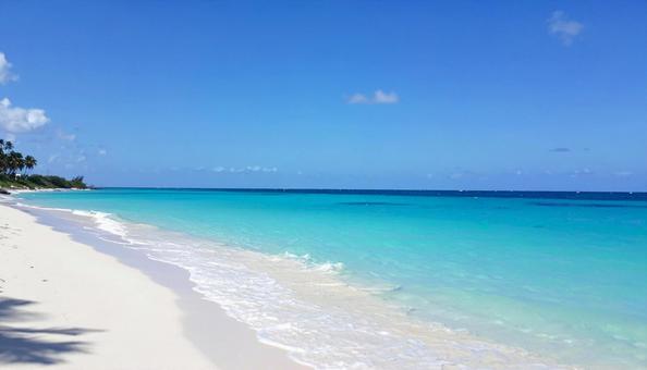 南国の海 南国の海の写真