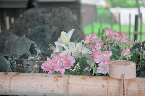 湯倉神社の花手水 湯倉神社の花手水の写真