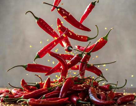 唐辛子　降る 唐辛子,鷹の爪,飛び散るの写真素材