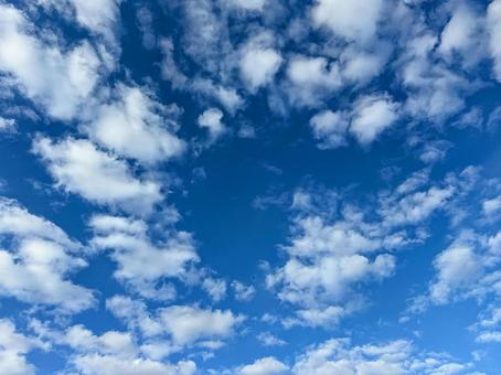 空いっぱいに広がる秋のうろこ雲 青空,雲,白い雲の写真素材