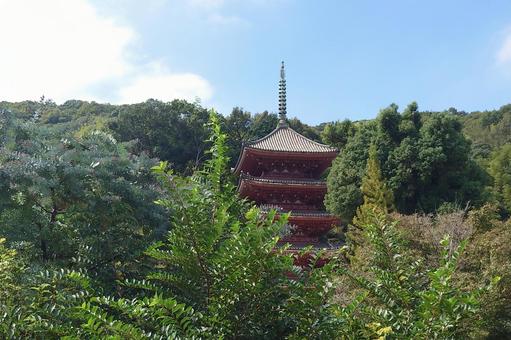 広島県-明王院-国宝-五重塔 明王院,寺,中道山の写真素材