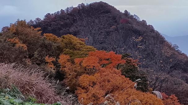 魚沼スカイラインの紅葉の写真