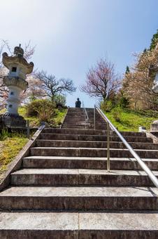 250421信濃比叡廣拯院 250421信濃比叡廣拯院の写真