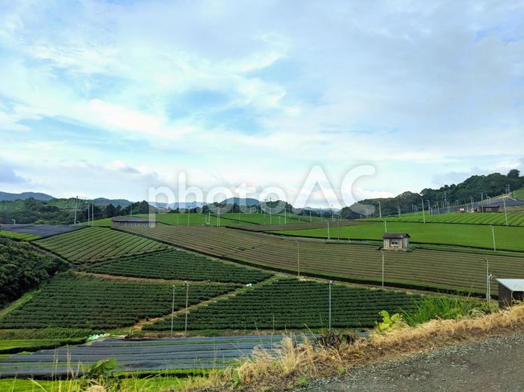 田園風景 田園風景,田園,田畑の写真素材