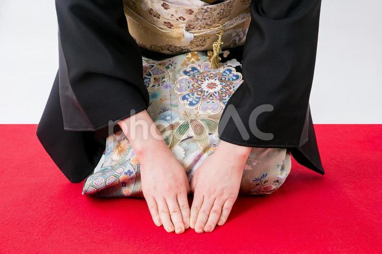 お辞儀する黒留袖の女性 正座,お辞儀,着物の写真素材
