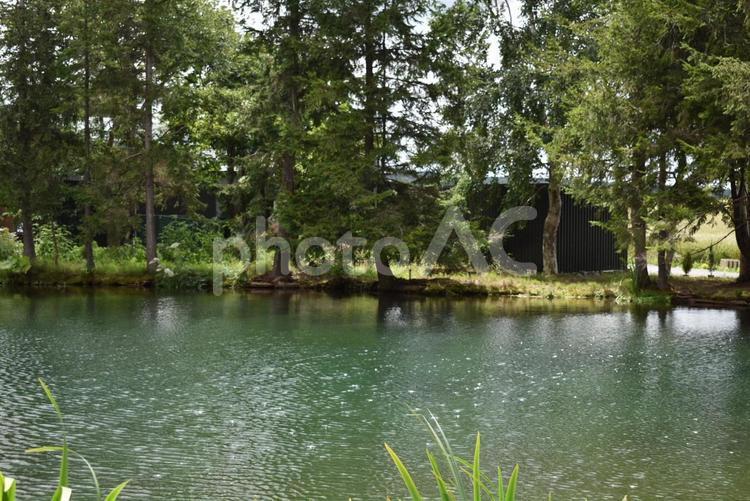 自然・風景　美しい池 静寂,旅行,水の写真素材