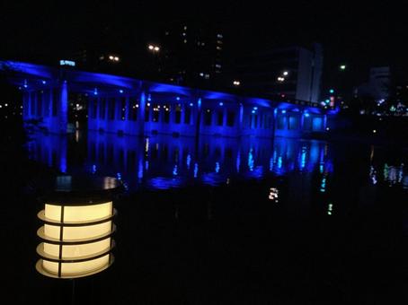 夜景 夜景の写真