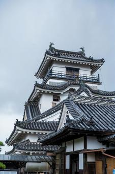 高知城の天守閣 高知城の天守閣 城,castle,天守閣の写真素材