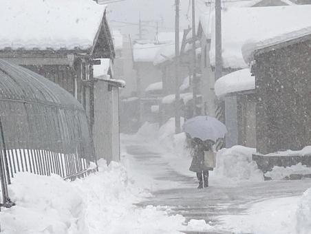 Photo, snowstorm, white town, snow, 