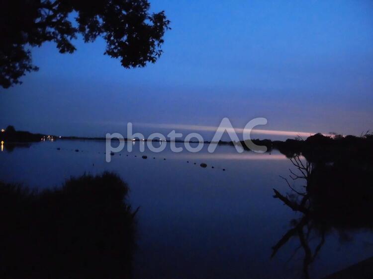湖畔に佇む木 ブルー,木,湖の写真素材