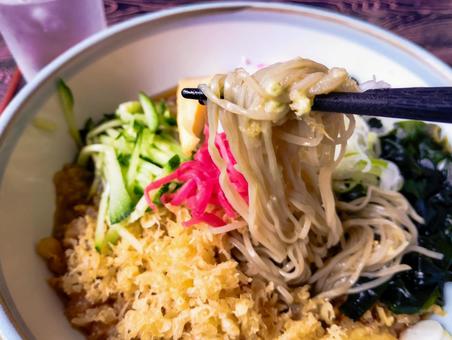 冷やしたぬきを手繰る 冷やしたぬきを手繰る 冷やしたぬき,冷やしたぬき蕎麦,蕎麦の写真素材
