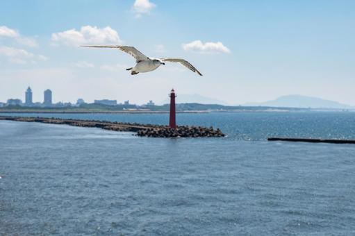 灯台の前を飛ぶウミネコの写真